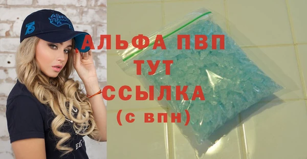 шишки Верея
