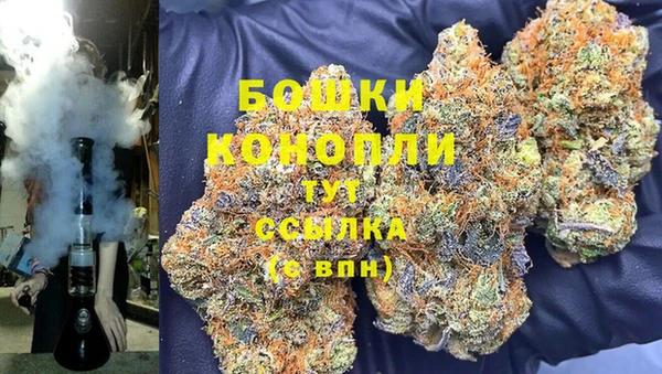 амф Бронницы