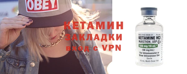 шишки Верея