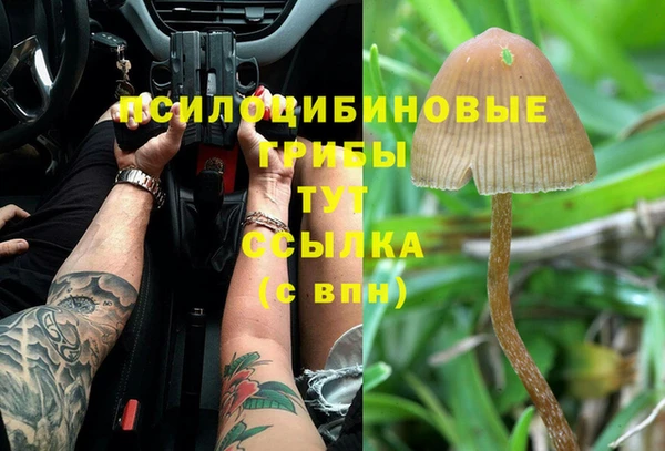 крисы Бугульма