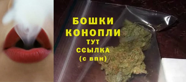 амф Бронницы