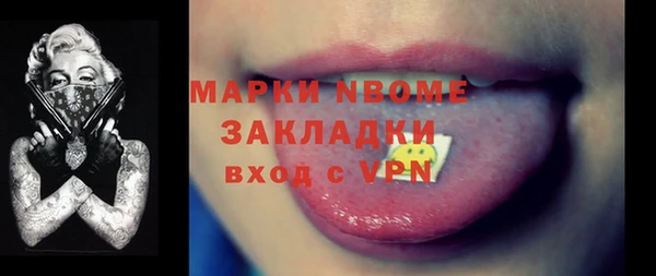 шишки Верея