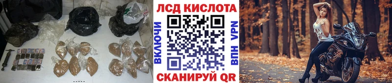 где купить наркоту  Гай  kraken вход  LSD-25 экстази кислота 