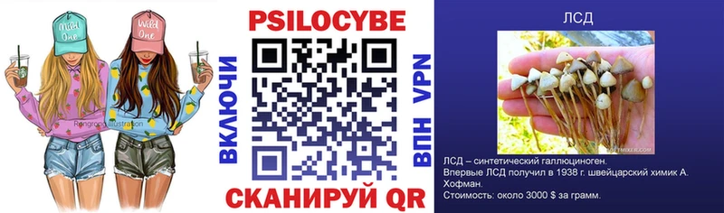 сколько стоит  мориарти как зайти  kraken ТОР  Галлюциногенные грибы MAGIC MUSHROOMS  Гай 