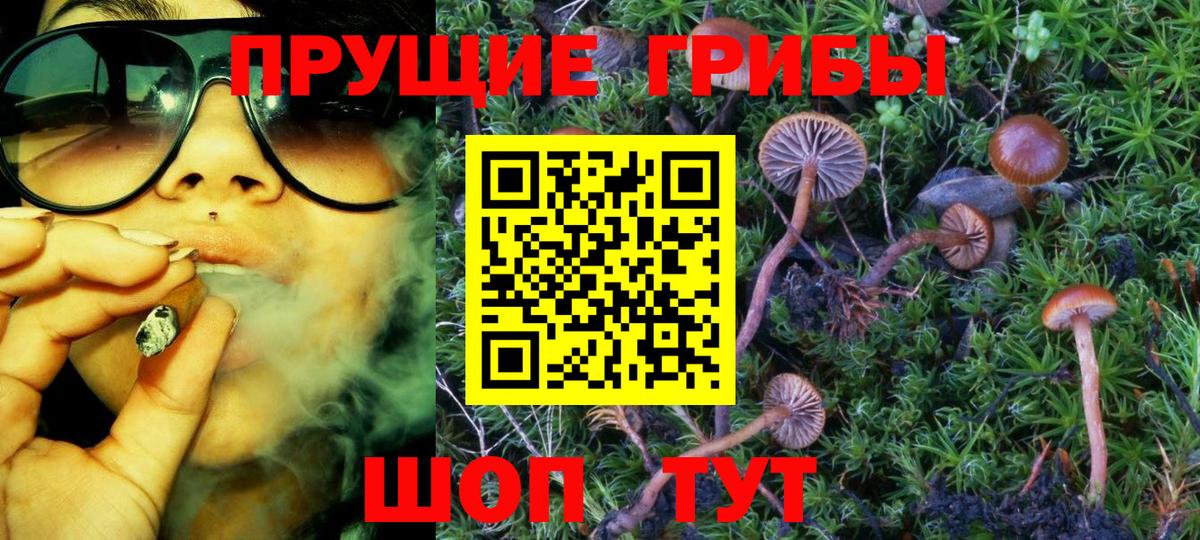 Галлюциногенные грибы MAGIC MUSHROOMS Гай