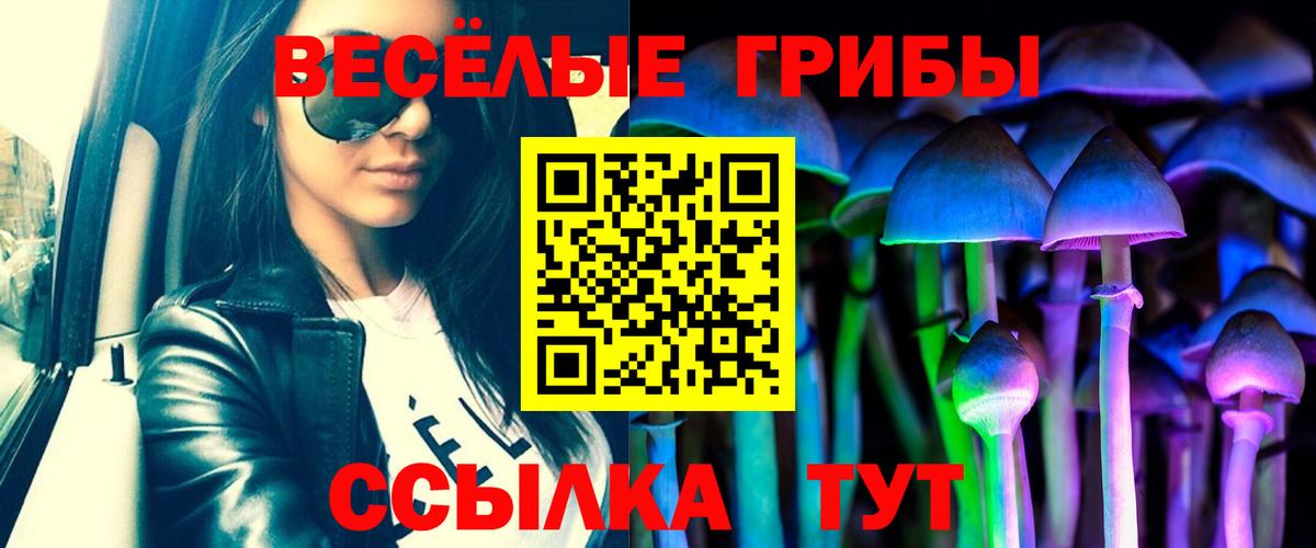 Галлюциногенные грибы Psilocybine cubensis  Вход с VPN  Гай 